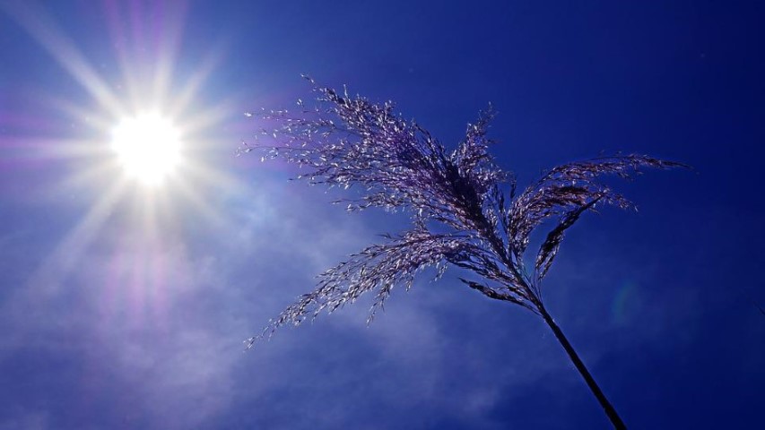chaleur_soleil