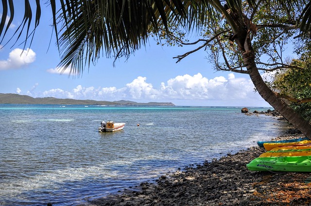 annuaire sante Martinique