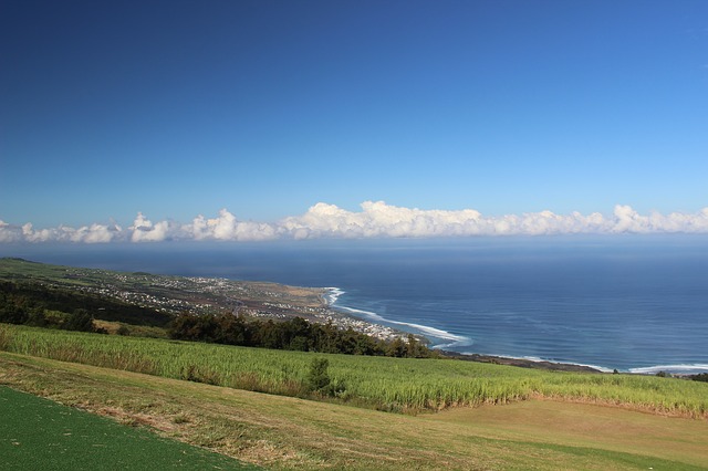 annuaire sante Réunion